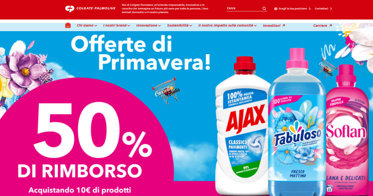 Pulizie di primavera